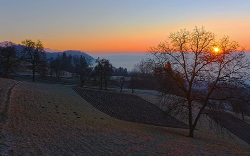 slovenia slovenija svjošt sunrise outside outdoors hiking meadow pševo
