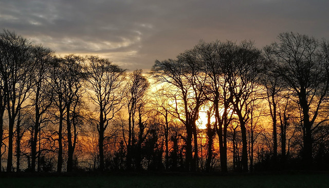 Pinckney Green sunrise