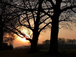 Monkton Farleigh sunset