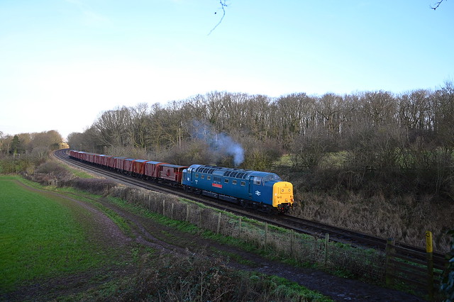 Deltic Loco 55019 'Royal Highland Fusilier' hauls the 10.20 Goods Service off Loughborough to Swithland Sidings, at Kinchley Lane. Great Central Railway East Coast Weekend. 16 01 2022