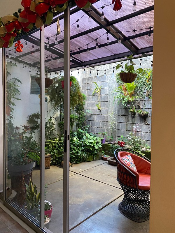 Screen door open leading out to a patio filled with leafy plants. There is a little red chair and hanging lights outside.