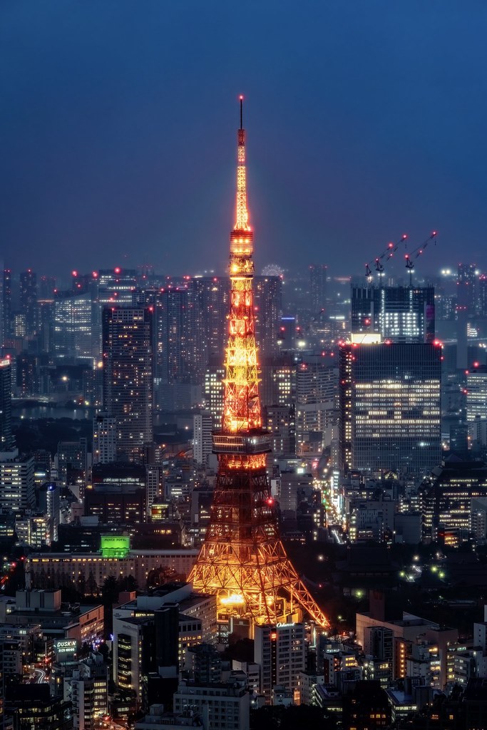 Tokyo Tower at Night @Tokyo, Japan