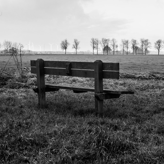 A Bench in Parkbos, Woldendorp