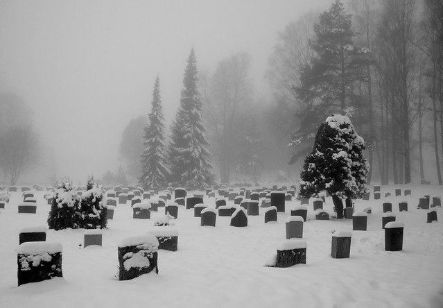 Cemetery in Winter Fog