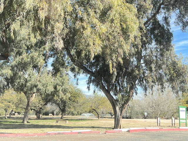 Fort Lowell Park