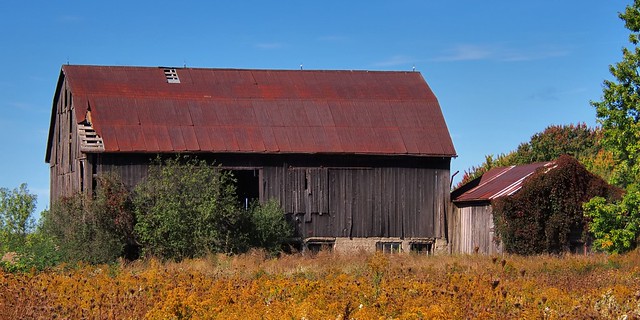 Abandoned barn and farm shack, Boston Mills Road, Caledon, Ontario