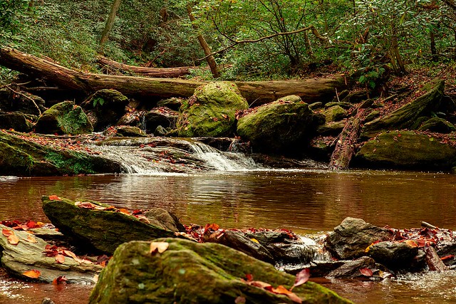 Within peaceful streams... The energy of life flows....