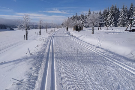  Již o uplynulém víkendu se situace se sněhem velmi zlepšila a upravených stop se dočkali lyžaři i na Vysočině, v okolí Adršpachu, hodně kilometrů strojově upravených tras přibylo také v Krkonoších. Počasí ve všední d...