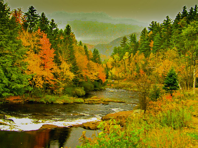 beautiful Fall colors in the Adirondacks
