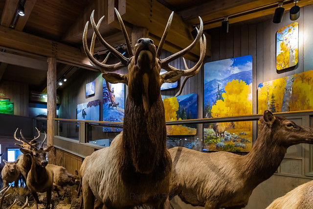 Jackson Hole and Greater Yellowstone Visitor Center