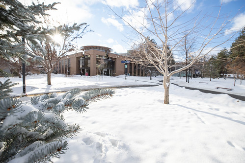 Campus Green and OLARA in winter