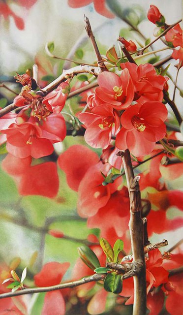 Watercolor Painting Flower