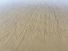 Low tide sand pattern, Poplar Beach