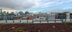 2022 Day 21 - Seattle Views