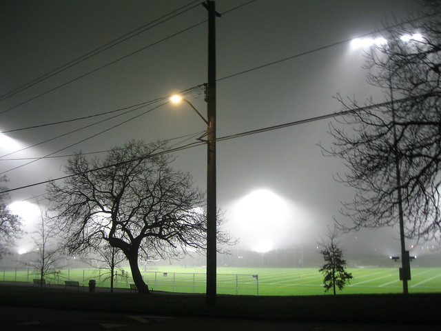 Foggy Night In Brighton Park