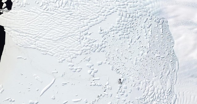 ice-cliff-thwaites-glacier-antarctica