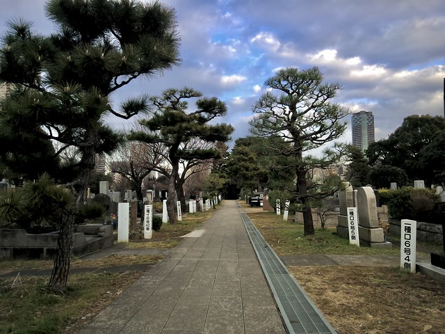 青山霊園　@Aoyama cemetery