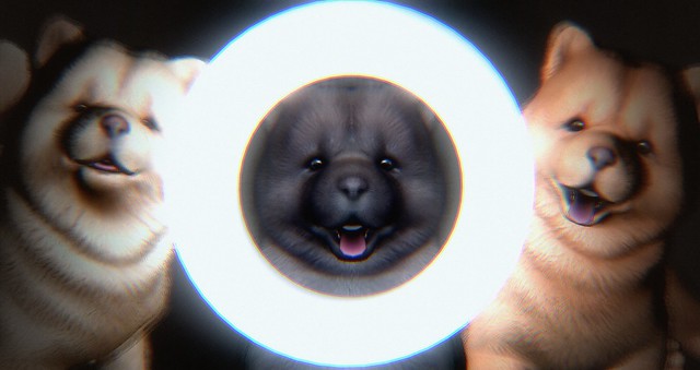 Ring light challenge accepted 🐶