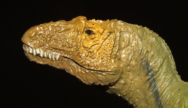 Allosaurus (†Allosaurus fragilis) head PNSO replica