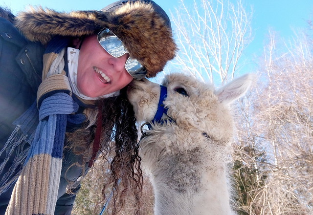 This is why I LOVE Alpacas... (Silly Selfie Saturdays :-)