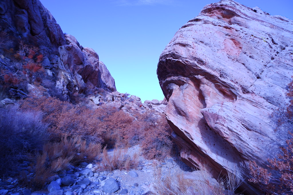 Measle of rocks - Redrock Canyon Recreational area - Nevada