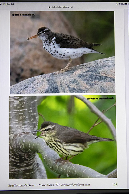 Bird Watcher's Digest March/April ’22 issue p. 105