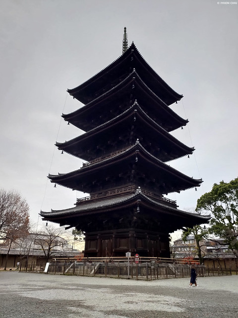 京都市・東寺 五重塔 ∣Five-story pagoda・Toji Temple