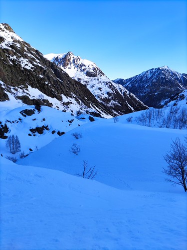IMG_20220129_105822