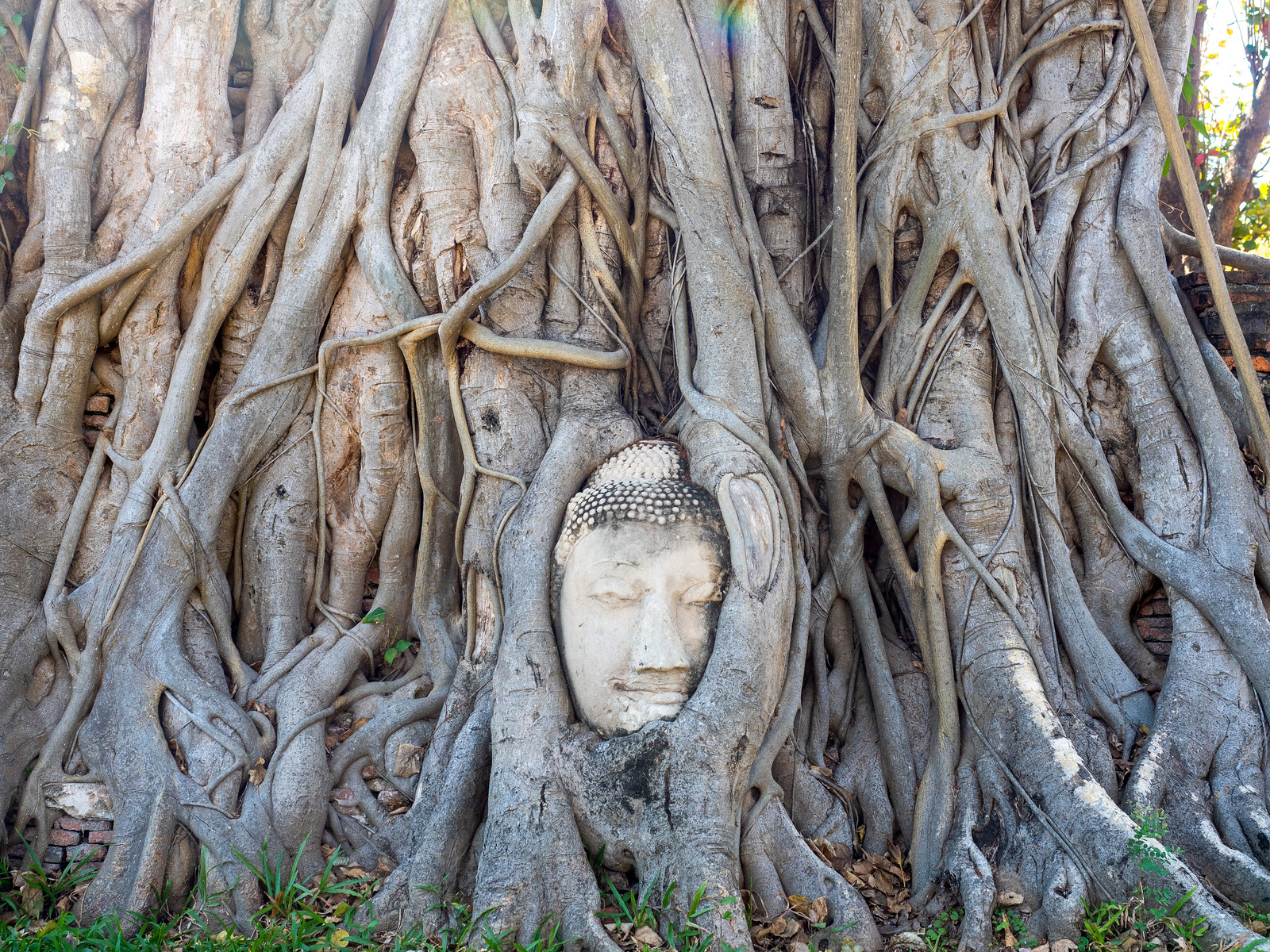 Wat Maha That Ayutthaya