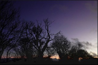 last light over Luppitt Common