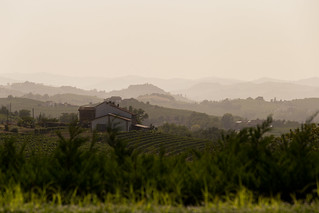 Sunset over the vineyards around Fontanile