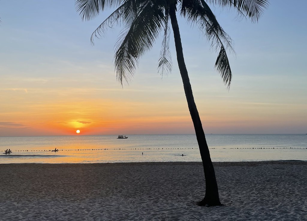 Auringonlasku Vietnamissa ja palmu.