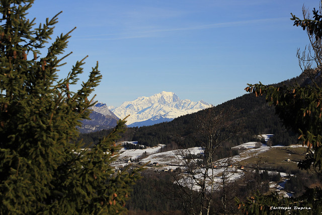 Le Mt Blanc depuis la Chartreuse (Savoie)