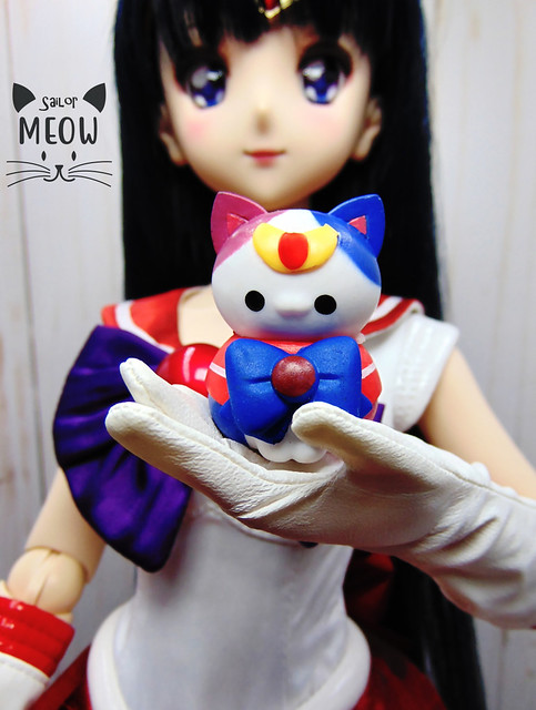Sailor Meow Moon: 