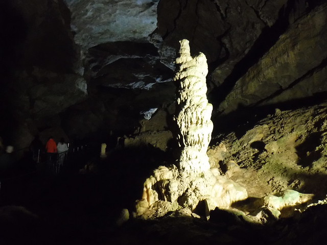 DSCF7666