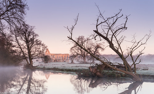 Newark Priory by Articdriver, Winter sunrise at Newark Priory near Ripley in Surrey. The Priory was established around 1189 and wa