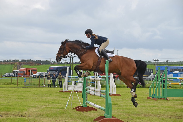 Showjumping 288 - West Fife Show 2019