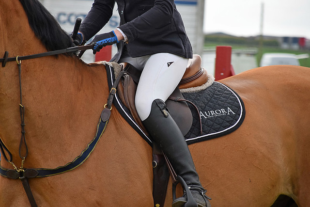 Showjumping 290 - West Fife Show 2019