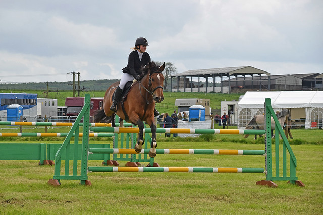 Showjumping 287 - West Fife Show 2019