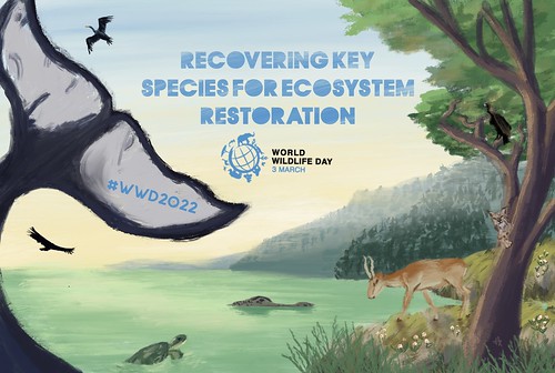 Official poster for World Wildlife Day 2022 - English