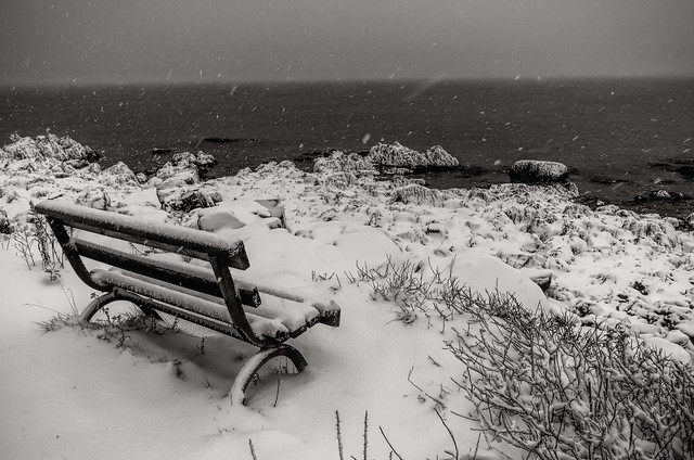 A Seat In a Snowstorm [Explore Feb 12022]