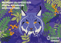 Official poster for World Wildlife Day 2022 - French