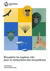 Official poster for World Wildlife Day 2022 - Spanish