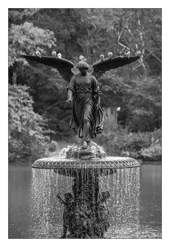 angel-of-the-waters-bethesda-fountain-rises-high-above-bet-flickr