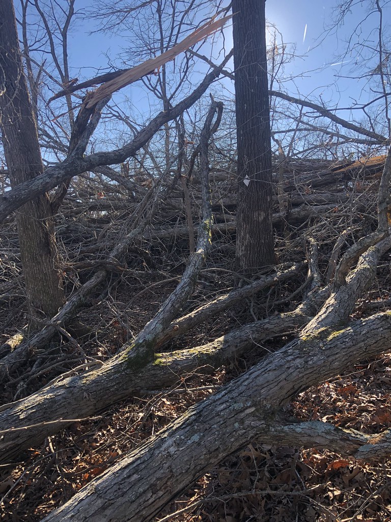 North/South Trail