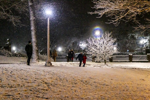 A peaceful, snowy evening under the night lights in Crim Dell Meadow.