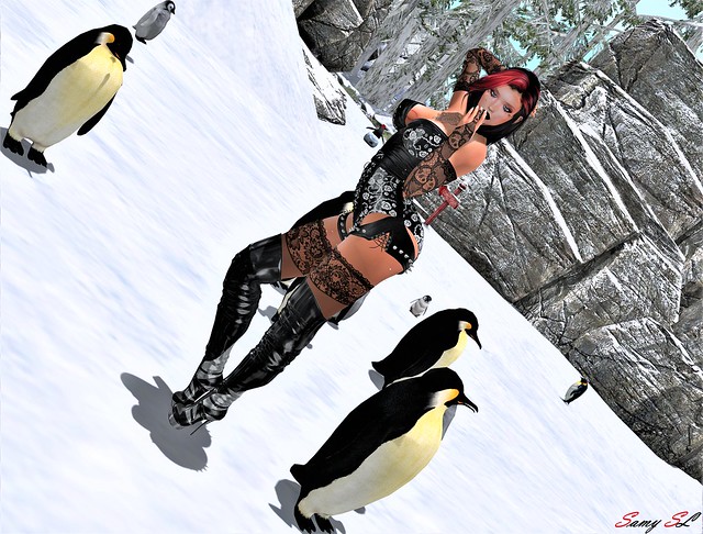 ♥  BURLESQUE WITH PENGUINS  ♥