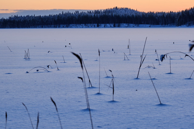 Frozen Lake III