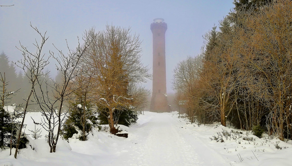 Germany, Winter in Kaltenbronn, Nordschwarzwald, Holohturm im Nebel, 60142/20418