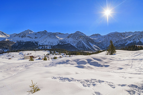 backlit alps arosa backlight bluesky buildings cold d850 firs forest graubünden landscape mountains nikon scenery sky snow sun sunny switzerland tourism trees view winter